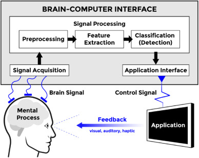 Brain-Robot Interfacing