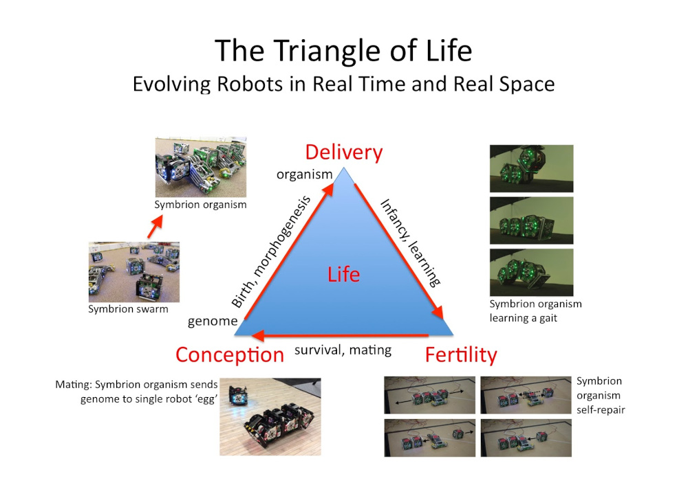 Evolutionary Robotics